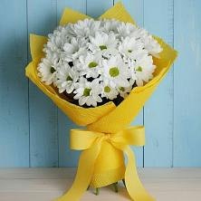 Букет цветов из:  Хризантемы в Шаблыкино