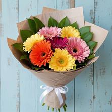 Букет цветов из:  Герберы #REPLACE_PRED# Шаблыкино