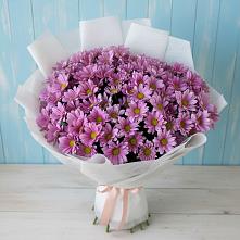 Букет цветов из:  Хризантемы #REPLACE_PRED# Шаблыкино