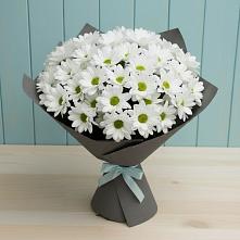 Букет цветов из:  Хризантемы #REPLACE_PRED# Шаблыкино