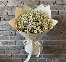Букет цветов из:  Ромашки в Шаблыкино