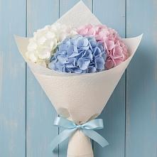 Букет цветов из:  Гортензия в Шаблыкино