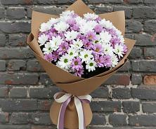 Букет цветов из:  Хризантемы в Шаблыкино