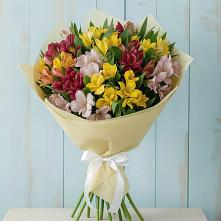 Букет цветов из:  Альстромерии в Шаблыкино