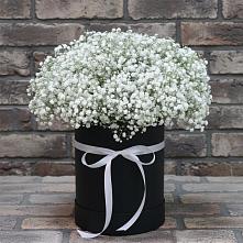 Цветочная композиция из Гипсофила в шляпной коробке в Шаблыкино