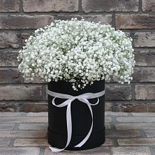 Цветочная композиция из Гипсофила в шляпной коробке в Шаблыкино