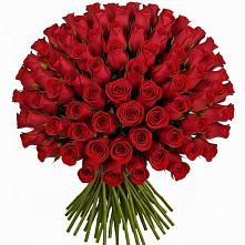 Букет Красные розы Чери Лав в Шаблыкино