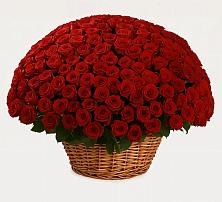 Премиум букет из: Розы в Шаблыкино