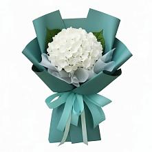 Букет цветов из:  Гортензия #REPLACE_PRED# Шаблыкино